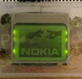 Image result for Nokia N9 Phonedb