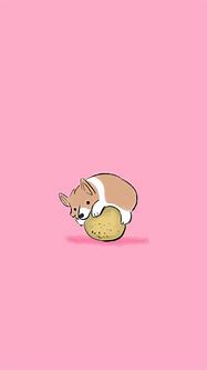 Image result for Funny Animal iPhone Wallpapers