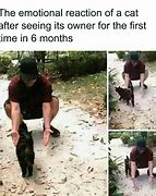 Image result for Cute Cat Owner Memes