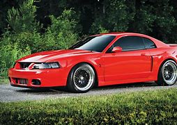 Image result for 2003 Mustang Shelby