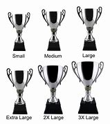 Image result for Stainless Steel Trophy Cup
