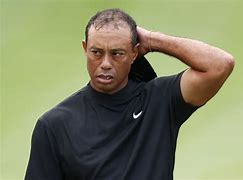 Image result for Tiger Woods Hair
