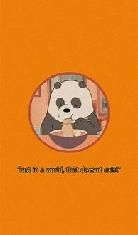 Image result for Angry Panda Aesthetic Wallpaper