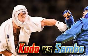 Image result for Martial Art Kudo Outfit