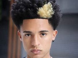 Image result for Taper Fade Curly Afro
