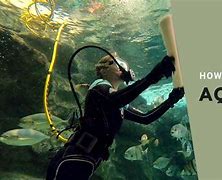 Image result for CBEST Colleges for Being an Aquarist