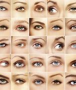 Image result for Most Common Eye Color