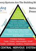 Image result for Sensory Processing