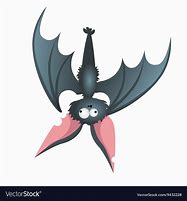 Image result for Funny Bat Graphic