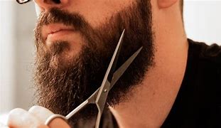 Image result for Beard Trimming Scissors