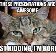 Image result for Humorous PowerPoint Slides