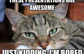 Image result for PowerPoint Slide Themes Meme