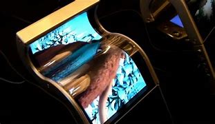 Image result for Flexible LCD-Display