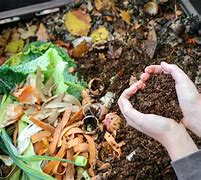 Image result for Organic Compost Image HD No Copyright