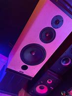 Image result for Horn Speakers Audiophile