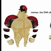 Image result for Memes Are the DNA of the Soul
