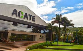 Image result for acate