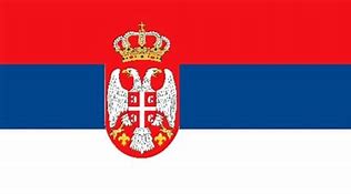 Image result for Alternative Serbian Flag