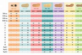 Image result for Size Chart for Kids in Inches