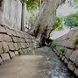 Image result for acequia4