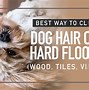 Image result for Pet Hair Remover Floor