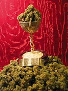Image result for cannabis_cup