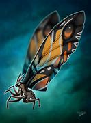 Image result for Mothra