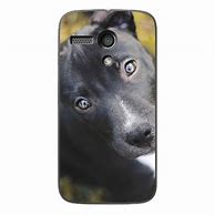 Image result for Motorola Phone Cases with Pets On Them