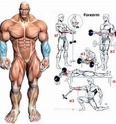 Image result for Forearms of NBA