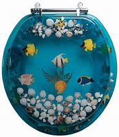 Image result for Acrylic Toilet Seats