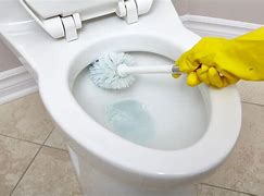 Image result for Flush Valve Toilet Bowl