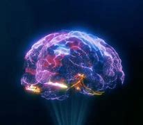 Image result for Quantum Brain