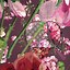 Image result for Gucci Flower Wallpaper