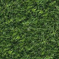 Image result for Dry Grass Texture Seamless