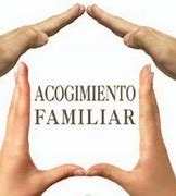 Image result for acogimiento