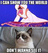 Image result for Grumpy Cat Meme Angry