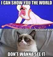 Image result for Grumpy Cat Sunday