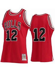 Image result for Retro NBA Jerseys