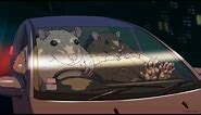 2 rats drive meme (it was a good day)