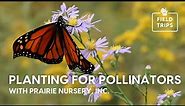 Planting for Pollinators with Prairie Nursery, Inc.