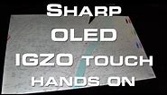 Sharp OLED IGZO Touch Display Hands On - CES 2013