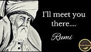 Rumi Poetry | Out beyond ideas of wrongdoing and rightdoing, there is a field. I’ll meet you there.