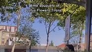 @Lotus Flowers Tirane #bestflowershop #flowers #order #albanian