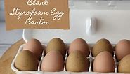 Learn More About the White Foam Egg Carton