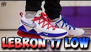 Nike Lebron 17 LOW Performance Review!