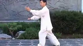 Tai Chi Quan Yang Style Traditional 108 form