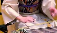 Japanese traditional music instrument "17-string Koto" (jushichi-gen) | Zakuro Traditional Japanese Music Show