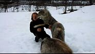 Reunion between Anita and the wolves