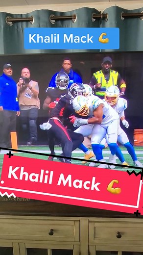 2 Wild Wolves on TikTok