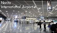 Walking in Narita International Airport | Terminal1| Walk in the Airport